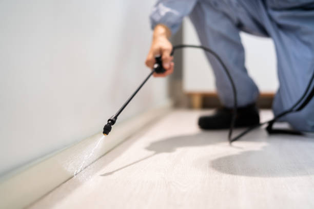 Bed Bug Pre-Treatment Preparation Assessment in Palo Alto