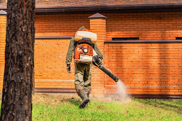 Bed Bug Clearance Verification and Documentation in Palo Alto
